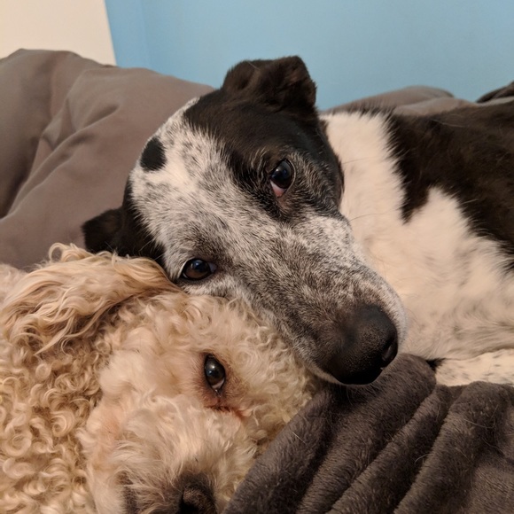 Meet your Posher, Mmattie - Picture 1 of 1